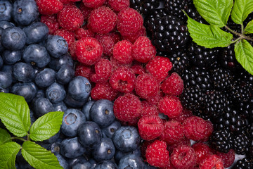 Mix berries and fruits. The view from the top. Background berries are diagonally Black-blue and red food.
