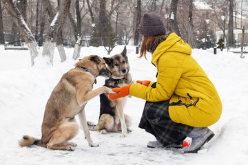 Young woman with her two dogs in a snowy winter park. Dogs give paws to the owner.