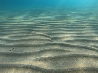 underwater waveform