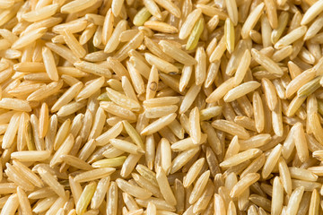 Dry Organic Indian Basmati Rice