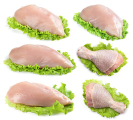 Meat chicken collection isolated on white background.