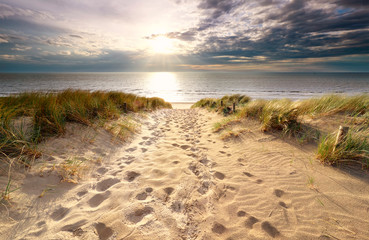 soleil sur le chemin de sable vers la plage de la mer du Nord