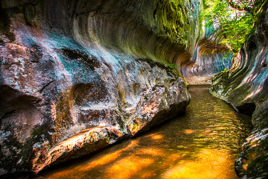 Gorge of wild river in Carpathian Mountains