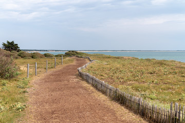 Fototapeta na wymiar pathway in seacoast in Vendee France western coast