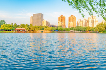 Lakeside scenery under the willow in the afternoon, Daning Tulip Park, Jing'an District, Shanghai, China