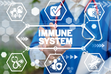 Doctor touches immune system words on virtual display. Immune system modern health care concept. Immunity medical human protection. Innovative immunology.