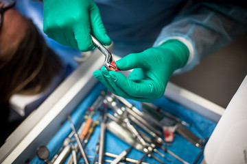A bloody infected tooth after being removed from the mouth of a patient during surgery in a...
