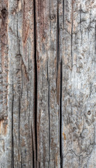 Old Weathered Cracked Wood Texture Useful for Background or as Overlay Image