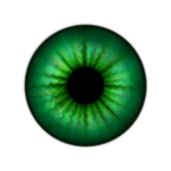 Green human pupil without glare, isolated on white background. Raster illustration.