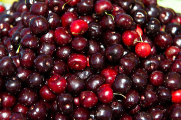 cherry on market shelf.