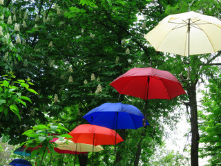 Umbrellas bright multi-colored hanging between the trees in the park