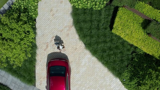 Drone shot of businesswoman walking on courtyard path among green garden plants carrying suitcase on wheels to trunk of red car standing near house. Female driver going on business trip by car