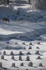Old wooden dock stumps in snow near Payette River, Idaho