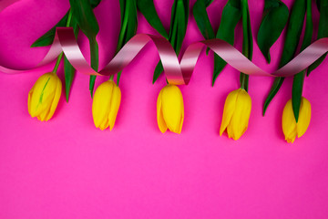 tulips in a field of tulips. Bright tulips on a pink background. Beautiful tulips in spring time....