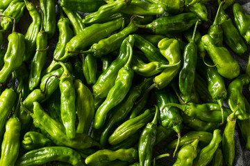 Raw Green Organic Shishito Peppers