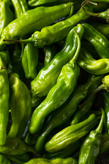 Raw Green Organic Shishito Peppers