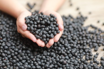 blackberries in a bowl