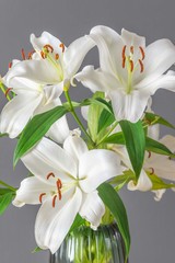 White lilies in macro