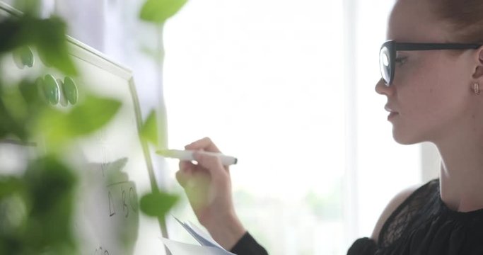 Businesswoman holding file and doing calculation on office whiteboard