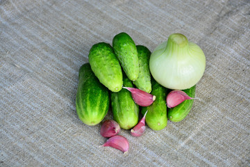 Fresh vegetables. Cucumbers, onions, garlic. Food