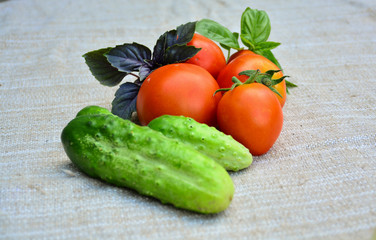 Fresh vegetables. Tomatoes, cucumbers, basil,