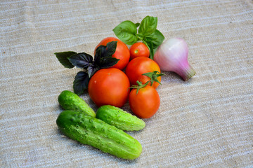 Fresh vegetables. Tomatoes, cucumbers, basil, onion