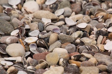pebbles on the beach