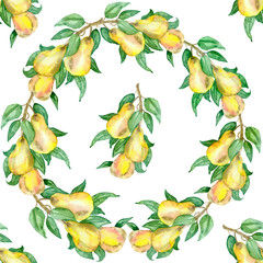 Watercolor hand painted nature fresh pattern with yellow organic pears branches and green leaves on it. Summer healthy vegan plants isolated on the white background	