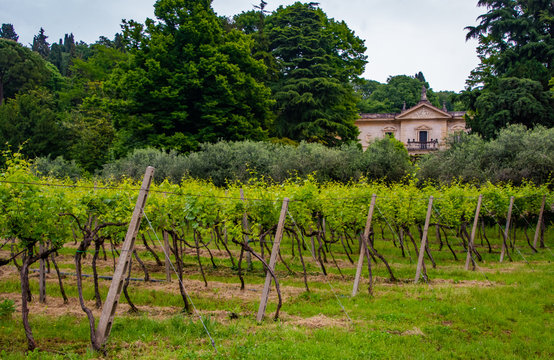 Valpolicella