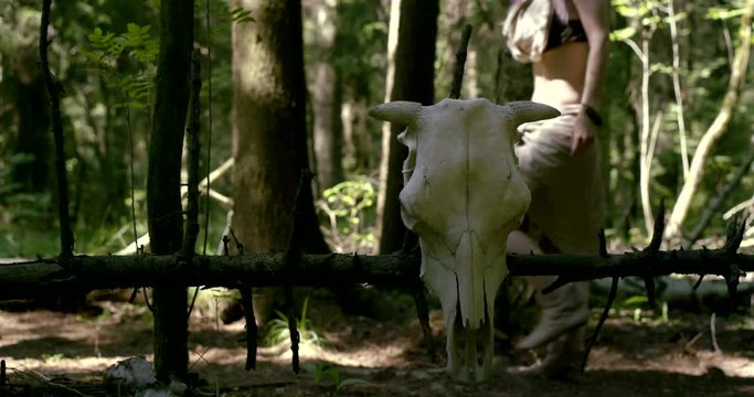 female figure is strolling in forest in background, skull of big wild animal is on old log in foreground