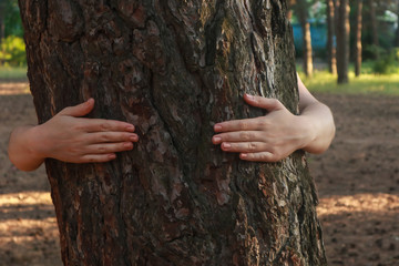 Young woman hugging tree in city park