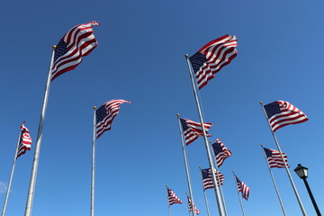 American flags waving at Liberty State Park, New Jersey, USA.