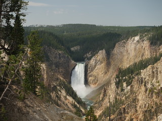 Wide shot of the Lower Falls, Yellowstone National Park, Wyoming.