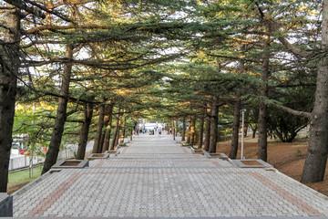 alley in the park