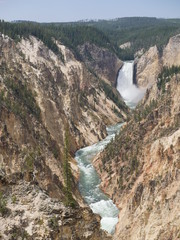 Wide portrait view of the 308-foot tall Lower Falls seen from the lookout point at Yellowstone National Park, Wyoming.