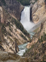 Breathtaking 308-foot tall Lower Falls, one of the most-photographed attractions at Yellowstone National Park, Wyoming.