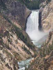 Medium wide portrait view of the Lower Falls, one of the most photographed attractions at Yellowstone National Park, Wyoming.