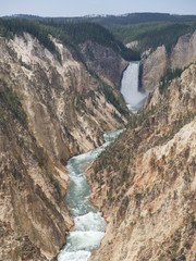 Lower Falls, portrait view from the lookout point. It's one of the most popular attractions at Yellowstone National Park, Wyoming.