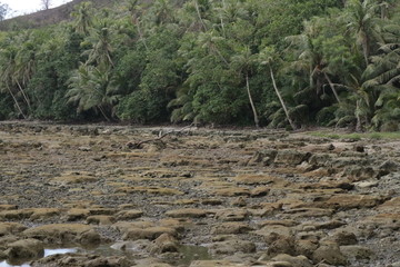 Bay Cut