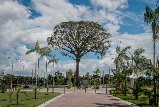 Parque do  utinga, bel&eacute;m, Par&aacute;, bel&eacute;m do Par&aacute;, c&eacute;u, 