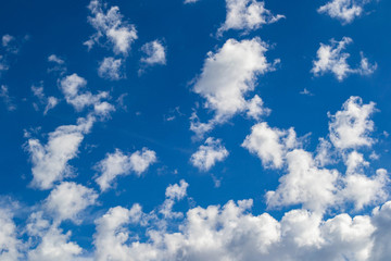 puffy clouds floating amongst a blue sky