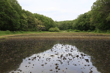 Fototapete bei efototapeten.de bestellen   