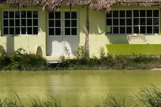 One thing that really stands out when you take a walk around Holbox's little Island is the vibrant colorful details everywhere, wichs adorn the houses and businesses