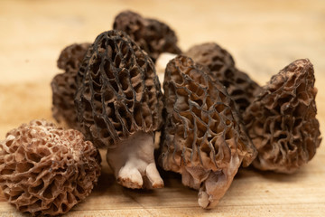 Morels mushrooms on wooden board
