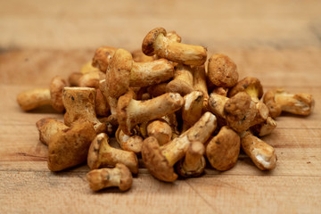 fresh yellow Chanterelles mushrooms on wooden board