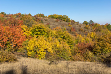Autumn view of Cherna Gora mountain, Bulgaria
