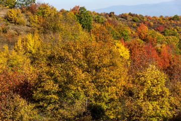 Autumn view of Cherna Gora mountain, Bulgaria