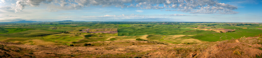 Fototapeta na wymiar Panoramic View of the Stunning Palouse Landscape of Eastern Washington. Colors seem to shift and change in the light on the rolling agricultural landscape from Steptoe Butte State Park.