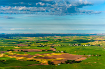 Beautiful Farmland Patterns Seen From Steptoe Butte, Washington. High above the Palouse Hills on the eastern edge of Washington, Steptoe Butte offers unparalleled views of a truly unique landscape.