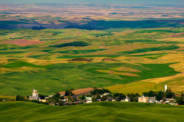 Beautiful Farmland Patterns Seen From Steptoe Butte, Washington. High above the Palouse Hills on the eastern edge of Washington, Steptoe Butte offers unparalleled views of a truly unique landscape.